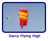 Darcy Flying High